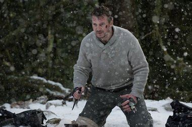 A Legacy of Excellence: Neeson's Impact on the Film Industry and Philanthropic Efforts