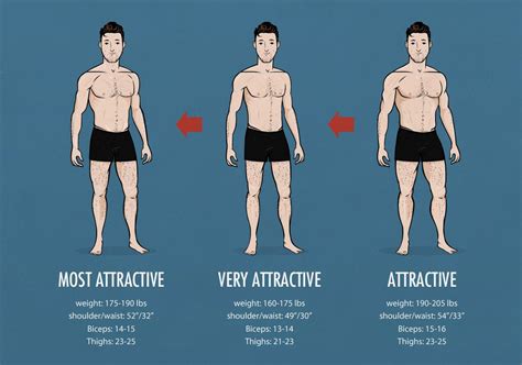 A closer look at the physique and body measurements
