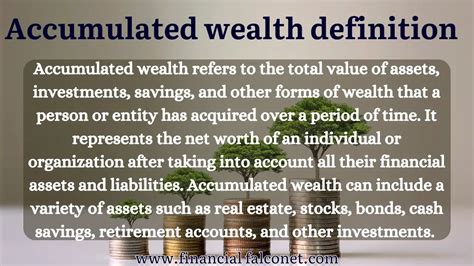 Accumulated Wealth and Financial Holdings