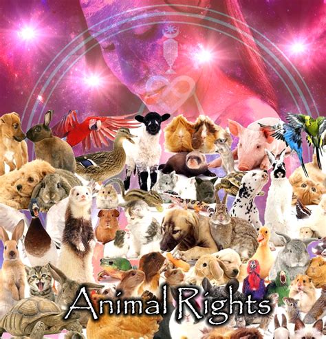 Activism and Philanthropy: Championing the Cause of Animal Rights