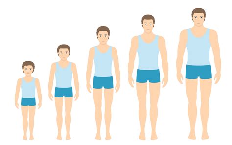 Age, Height, and Body Shape