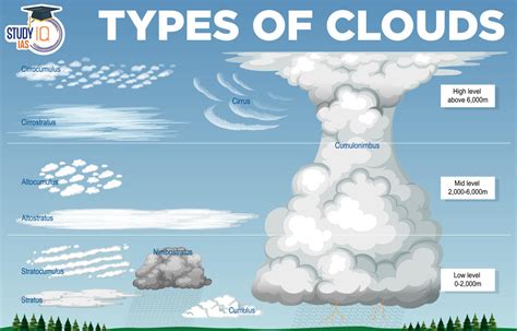 Age, Height, and Figure: All About Crystal Clouds' Physical Appearance