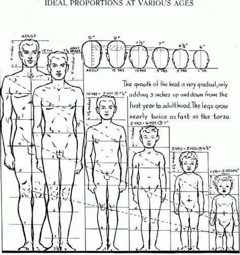 Age, Height, and Figure of Anna Smith 2