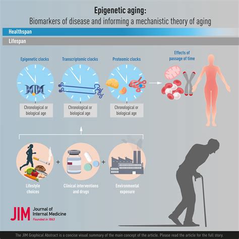 Age and Lasting Impact