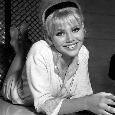 Age is Just a Number: Exploring Britt Ekland's Timeless Charm