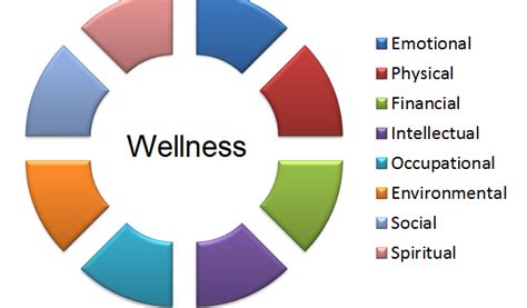 Approach to Health and Wellness in the Adult Entertainment Industry