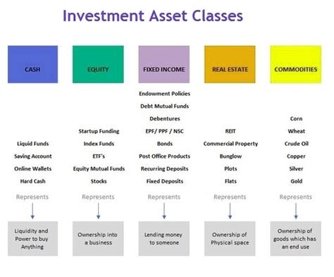 Assets and Investments of Alina E Lesya