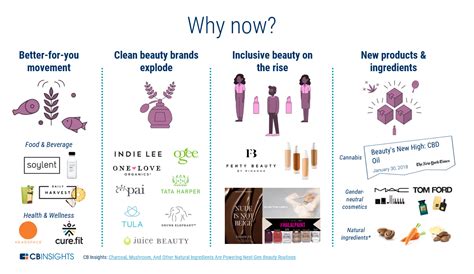 Beauty Empire: Sephora's Impact on the Beauty Industry