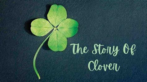Biography of Curious Clover: Exploring Her Life Journey