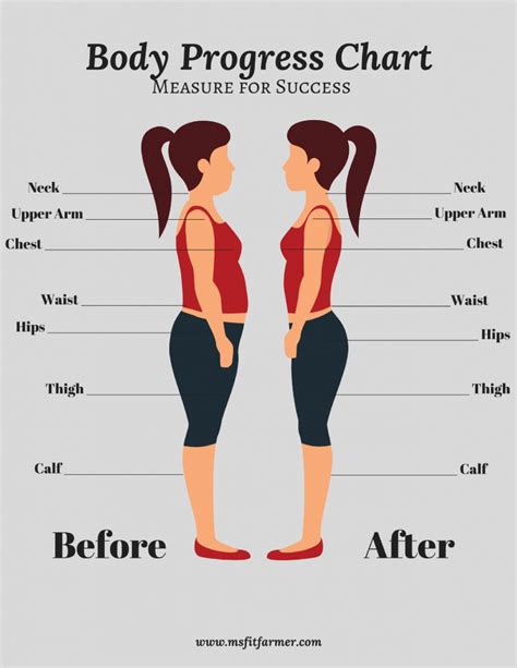 Body Figure Measurements and Fitness Regimen