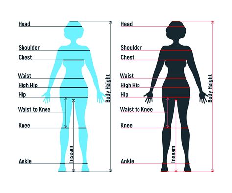 Body Measurements and Fashion Sense