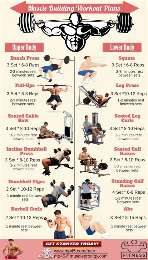 Body Measurements and Workout Routine