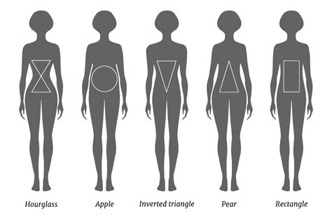 Body Shape and Proportions