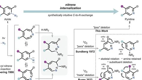 Breakthrough Discoveries: Revolutionizing the Field of Chemical Synthesis