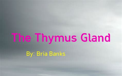Bria Banks - Life Story