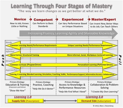 Career Path: From Novice to Professional