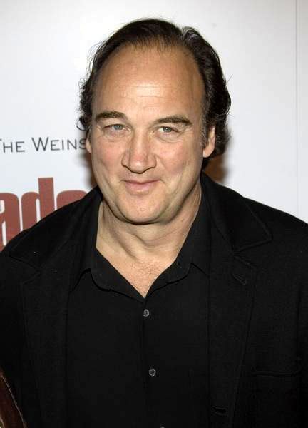 Comeback and Recent Projects: James Belushi's Return to the Spotlight