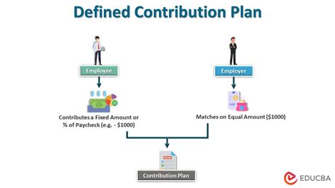 Contributions to Society and Future Plans