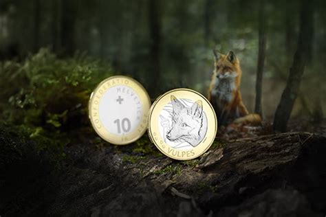 Counting the Coins: A Look into Vulpes Bunny's Remarkable Financial Standing