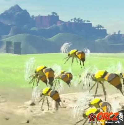 Discovering the Financial Achievements and Assets of Zelda Bee