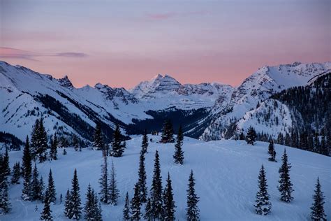 Early Life and Background of Aspen Winters