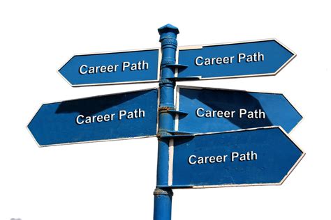 Education and Professional Path