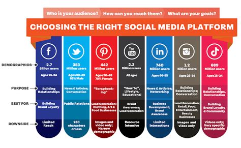 Establishing her Online Presence: Arianna Sinn's Social Media Influence