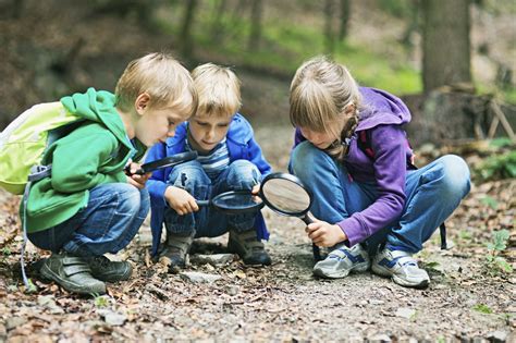 Exploring the Early Years