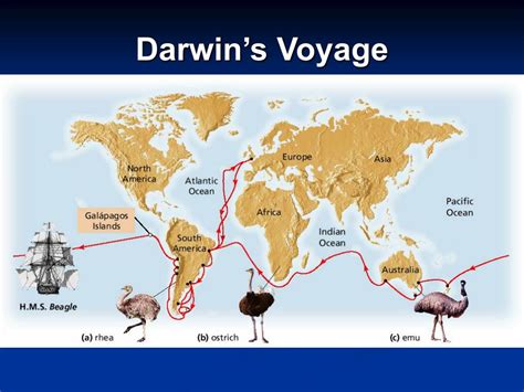Exploring the Five-Year Expedition and Its Significance on Darwin's Journey