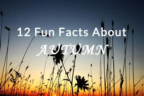 Fascinating Facts about Autumn Haze