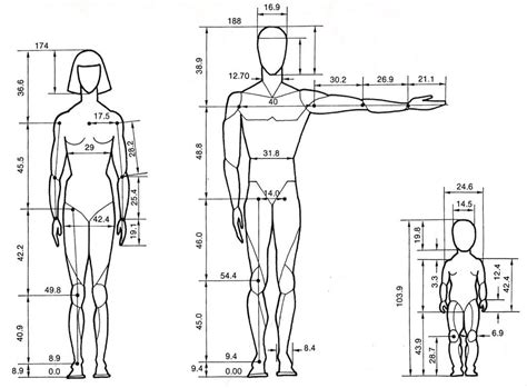 Figure: Exploring Valeria Alexa's Mesmerizing Body Proportions