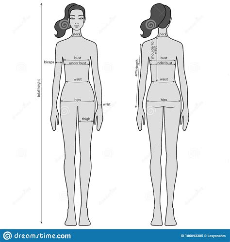 Figure: The Body Measurements of the Icon