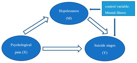 Figure Analysis: Exploring the Essence of Popet Suicide's Influence