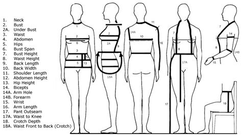 Figuring Out the Coveted Body Measurements of a Fashion Icon: Decoding the Venerated Proportions