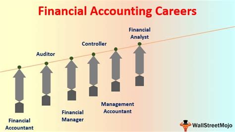 Financial Status and Professional Career