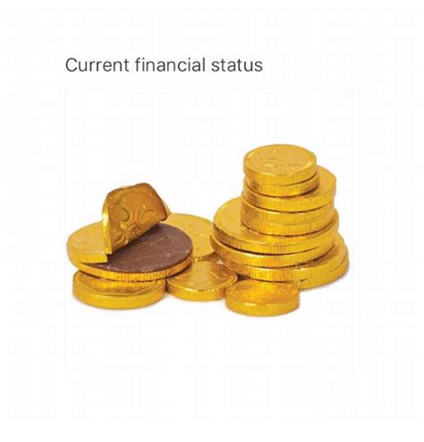 Financial Status of the Accomplished Star