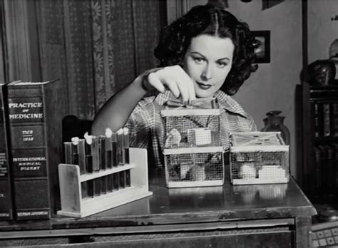 From Glamour to Warfare: Hedy Lamarr's Innovations in Technology