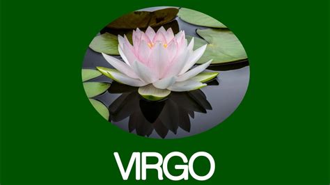 From Novice to Professional: Virgo Peridot's Journey to Achieving Greatness