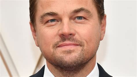 From Young Phenom to Hollywood Legend: Leonardo DiCaprio's Journey