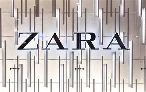 Future Projects and Ventures of Zara Amara