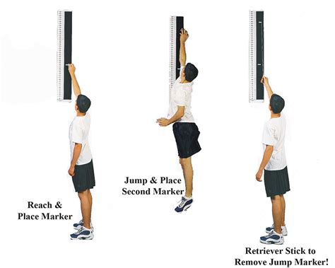 Height: Finding the Measure of Anna's Vertical Reach