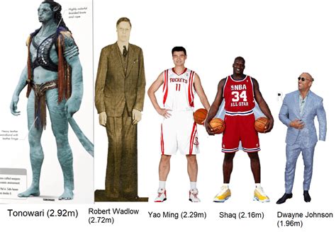 Height: How tall is Avramlatosca?