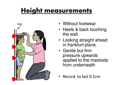 Height: Physical characteristics and measurements