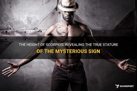 Height: Revealing the Mysterious Physical Stature