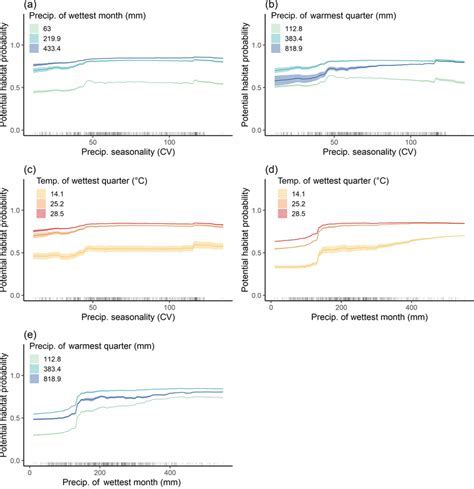 Height: The Statistic Behind the Impactful Presence of Serenity Model