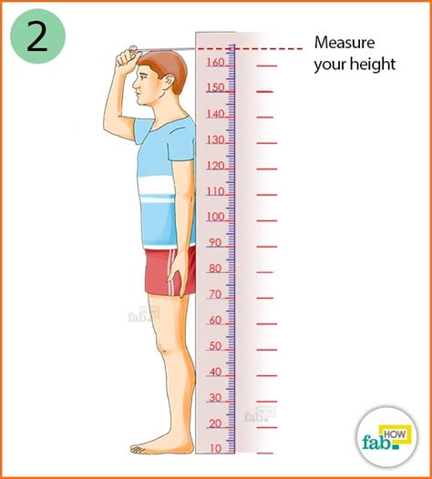 Height and Body Measurements: