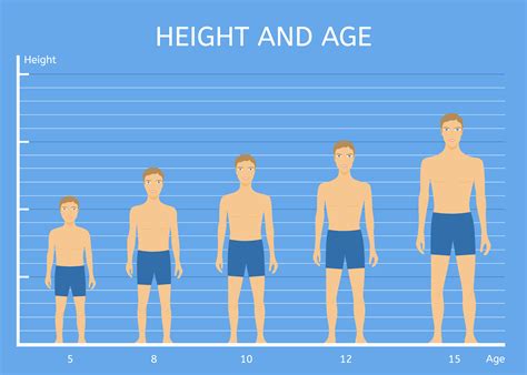 Height and Body Statistics