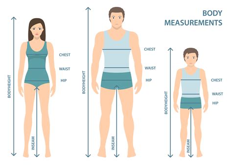 Height and Figure Measurements