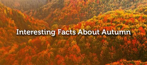 Key Facts about Autumn Winters 