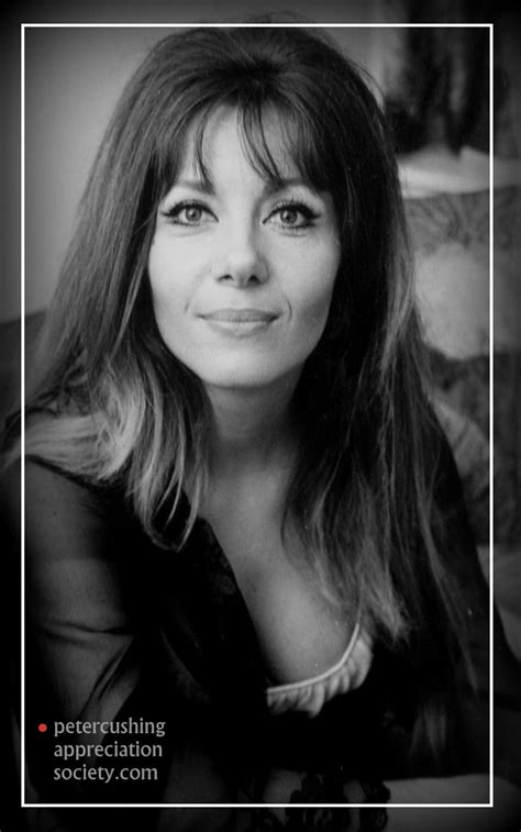 Legacy and Influence: Remembering Ingrid Pitt in Pop Culture